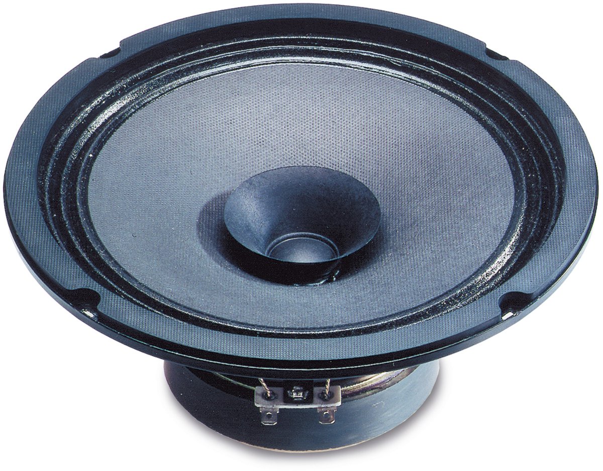 Visaton BG 20 - 8 Ohm 8 pouces 20.32 cm Haut-parleur large bande 40 W 8 Ω