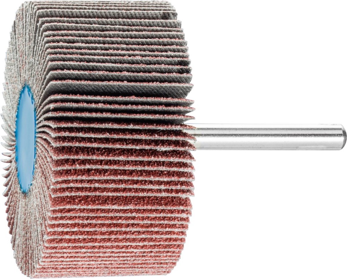 PFERD TOOLS 44509066 Roue à lamelles sur tige Diamètre 60 mm 10 pc(s)