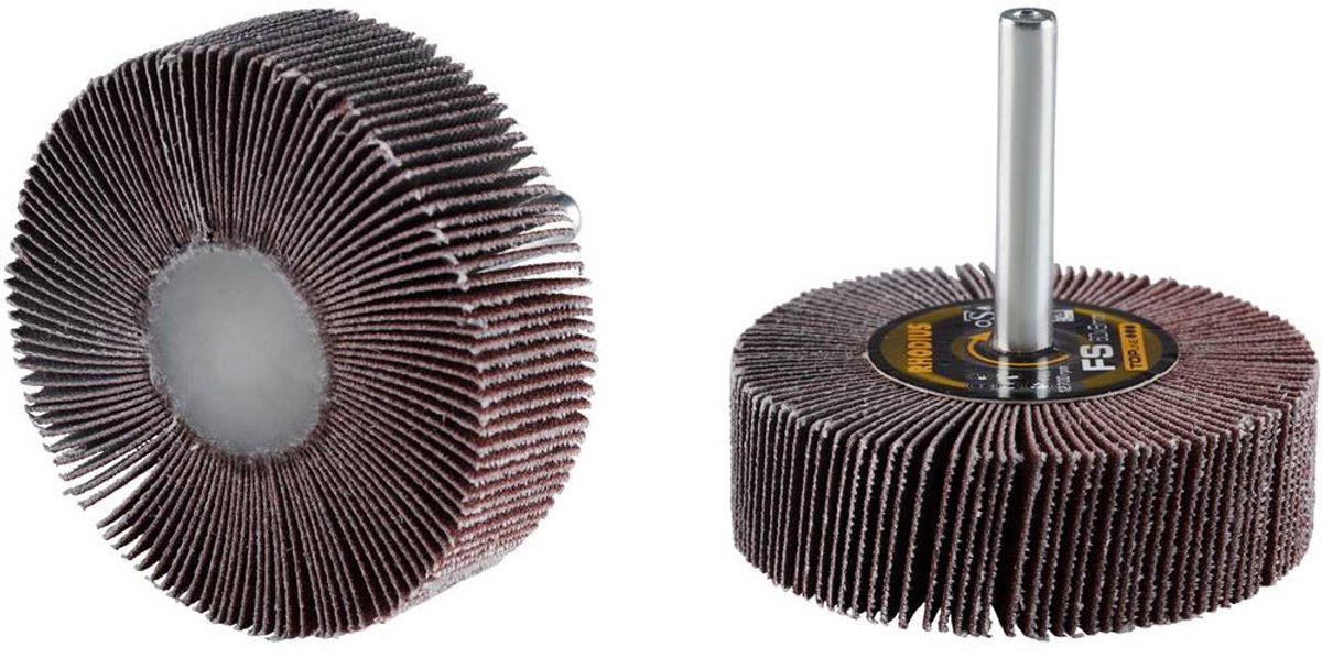 Rhodius 305150 Roue à lamelles sur tige Diamètre 60 mm 10 pc(s)
