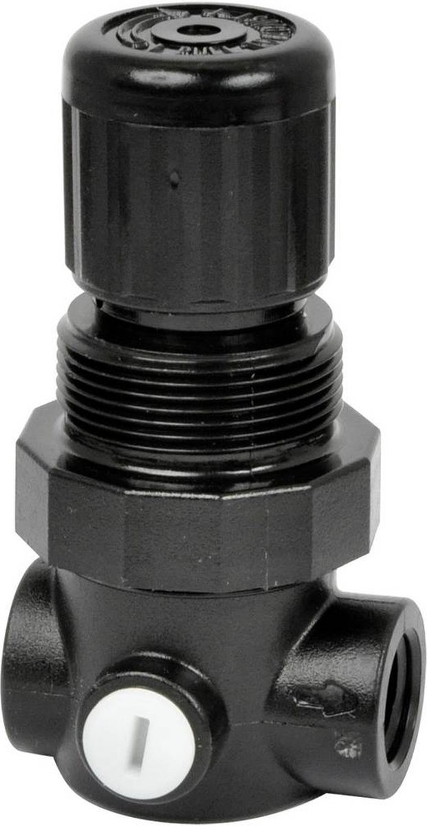 plage de pression 0,3 - 3,5 bar connexion G1/4 IMI NORGREN R91W-2GK-NEN