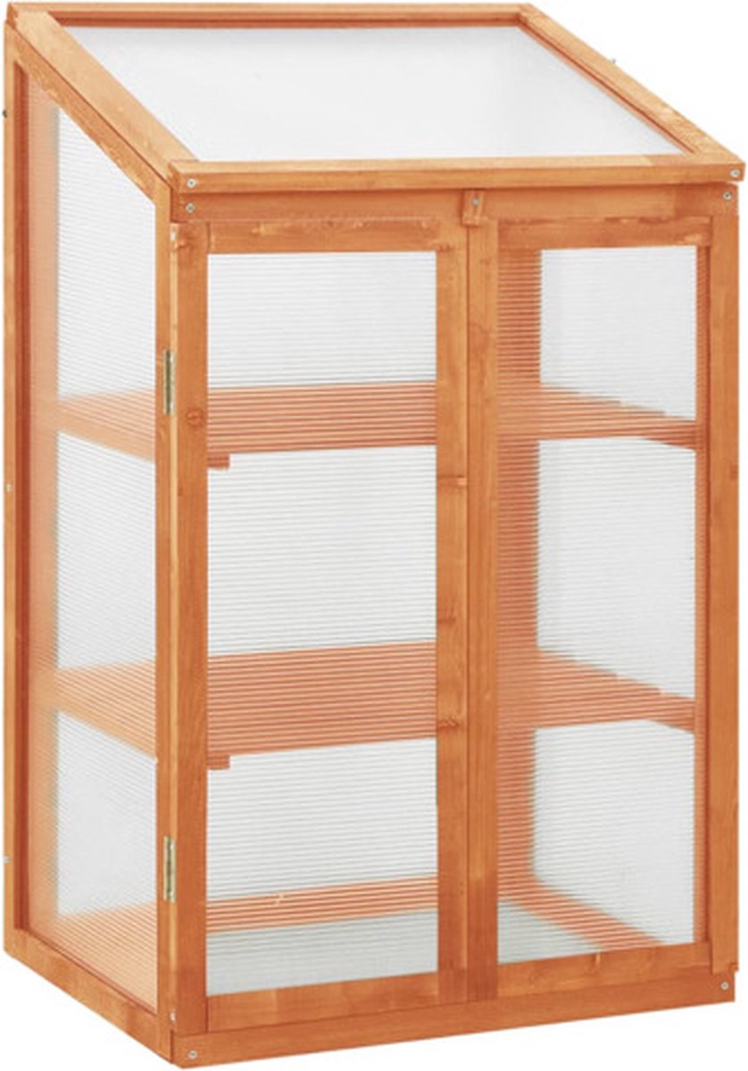 vidaXL Gewächshaus 60x45x100 cm Tannenholz braun