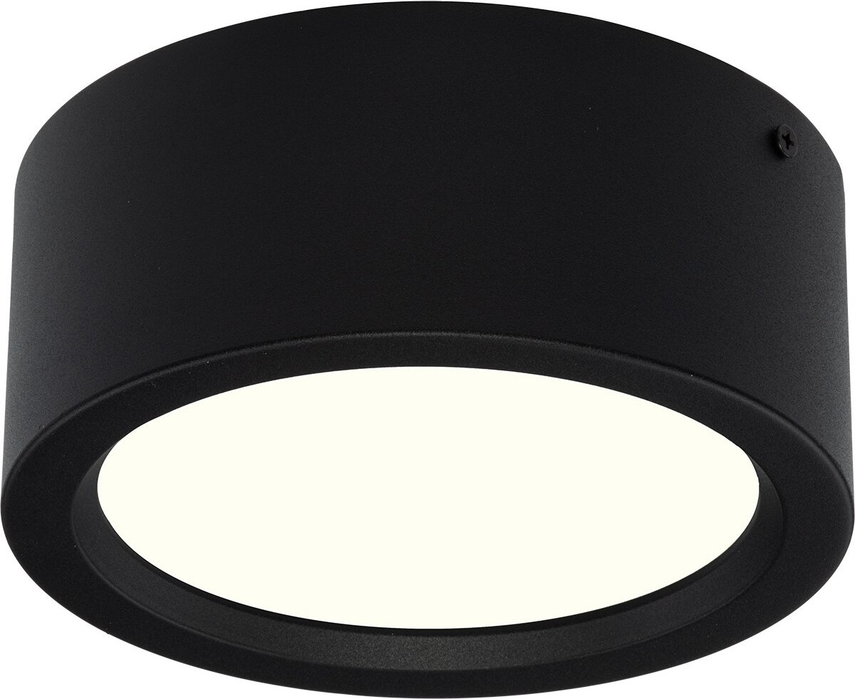 Runde LED-Deckenleuchte schwarz 15W 4200K schwarz