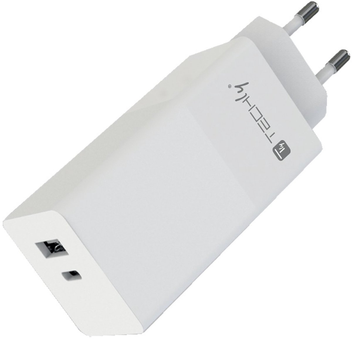 TECHLY power adapter - USB 24 pin USB-C - 100 Watt