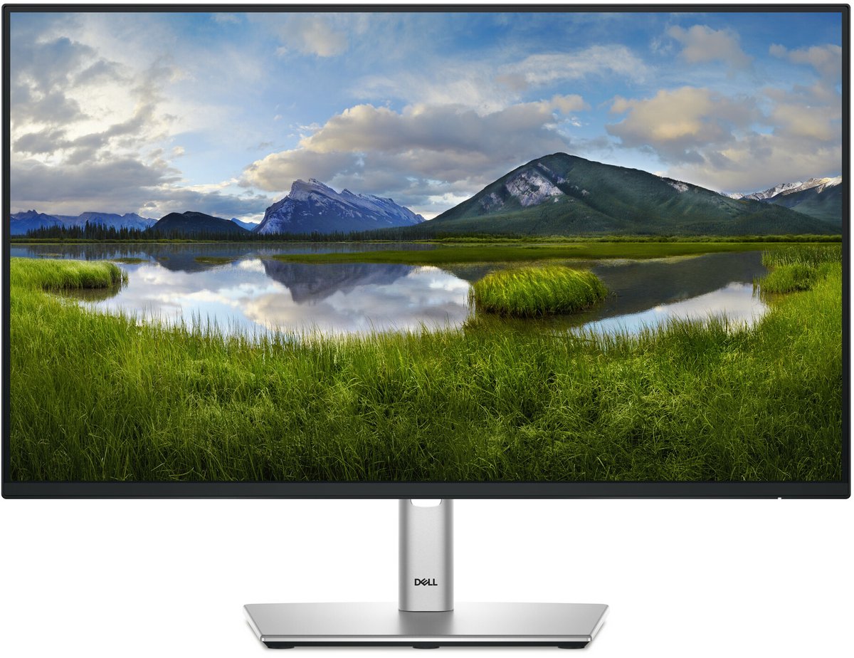 24" Dell P2425H - 1920x1080 (FHD) - 100Hz - IPS - 15W USB-C