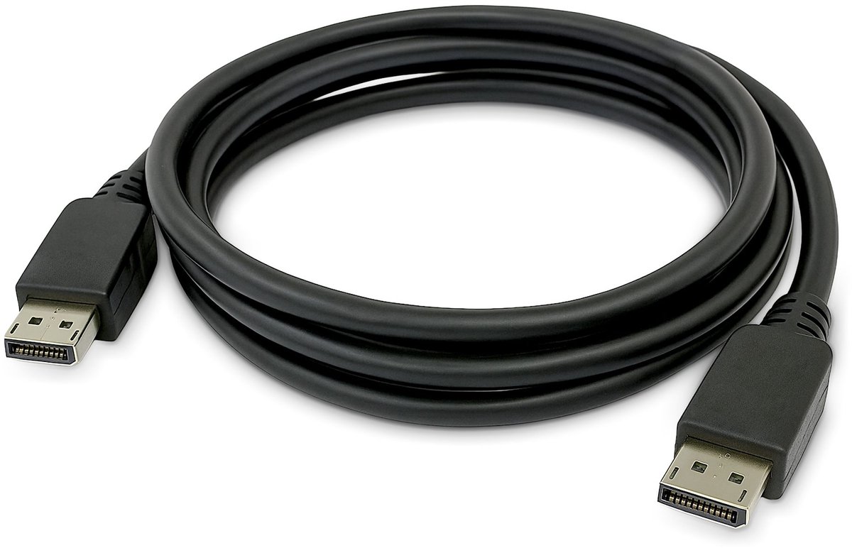 StarTech.com - DisplayPort cable - DisplayPort to DisplayPort - TAA Compliant