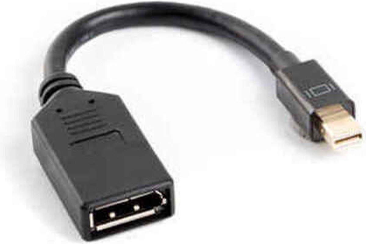 Lanberg DisplayPort adapter - 12 cm