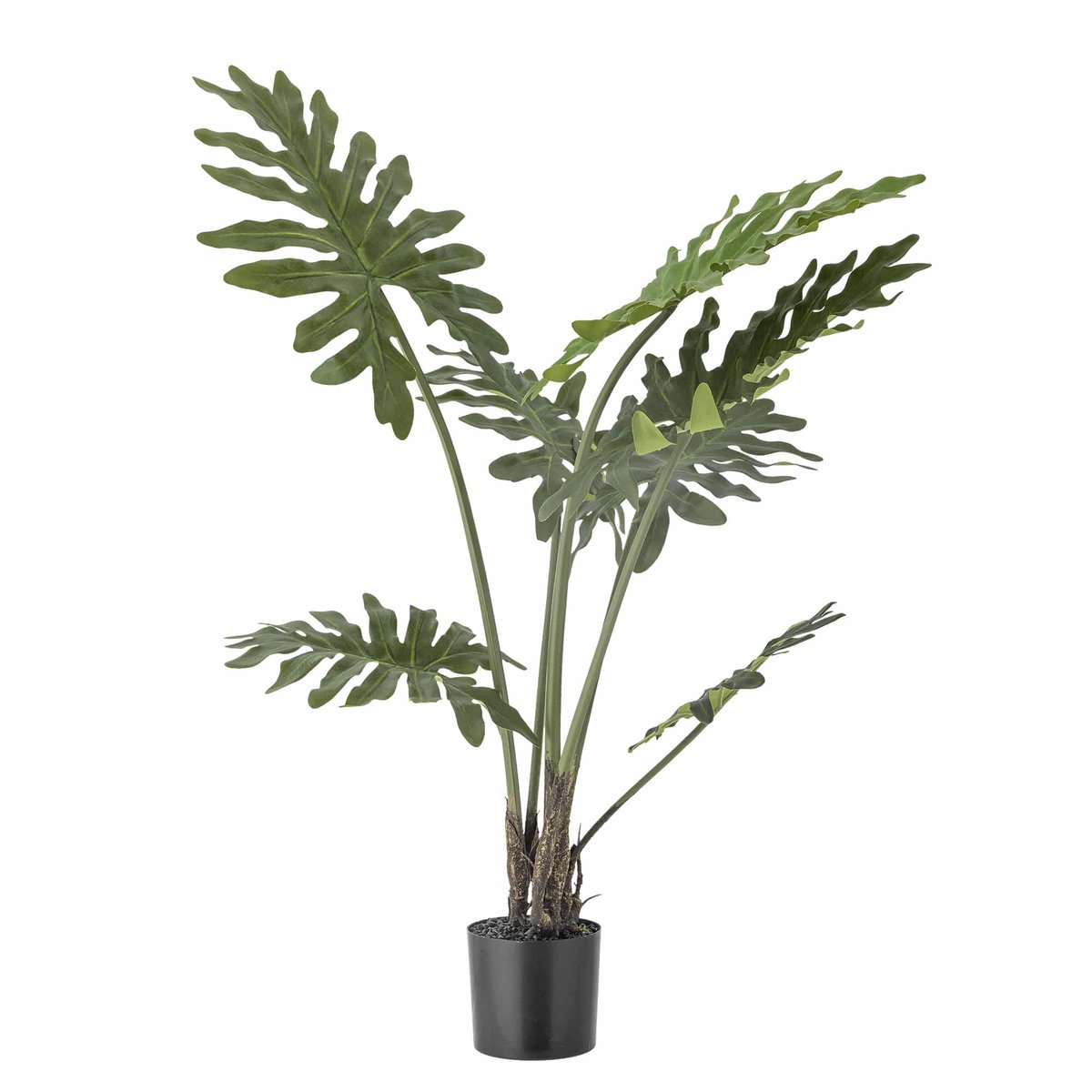 Bloomingville Philodendron