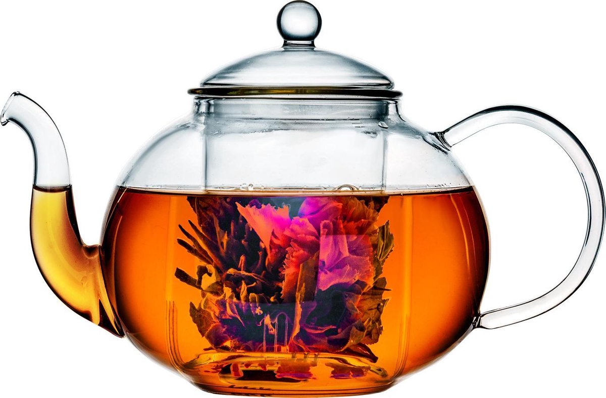 bredemeijer Teapot Verona 1.0L single walled glass