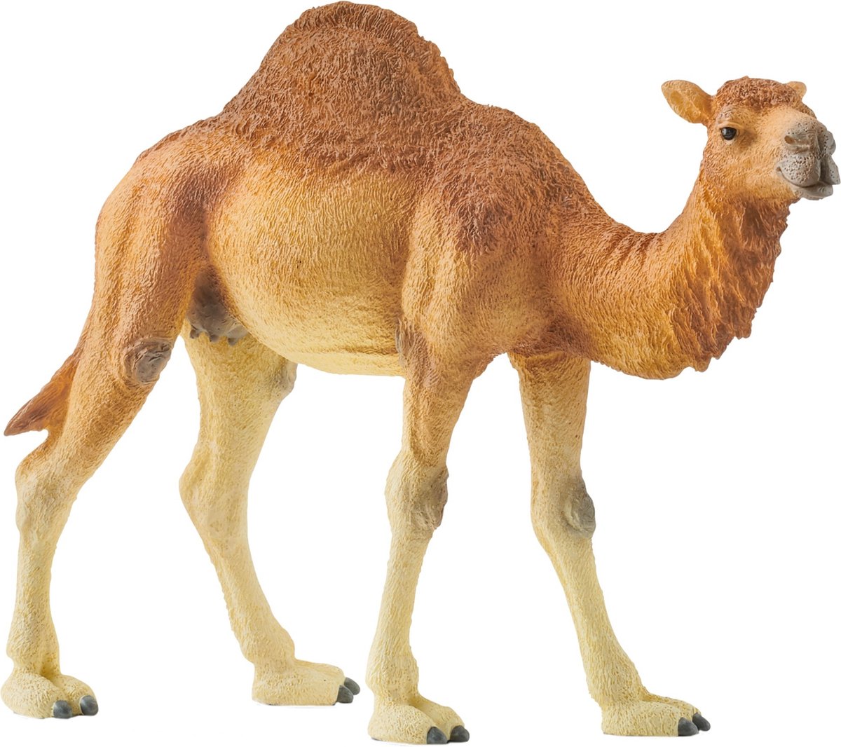 Schleich Dromedar