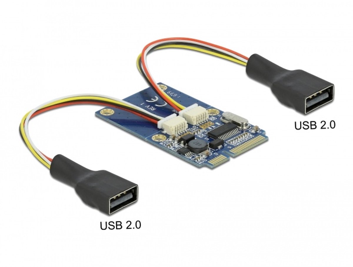 DeLOCK MiniPCIe I/O PCIe full size 2 x USB 2.0