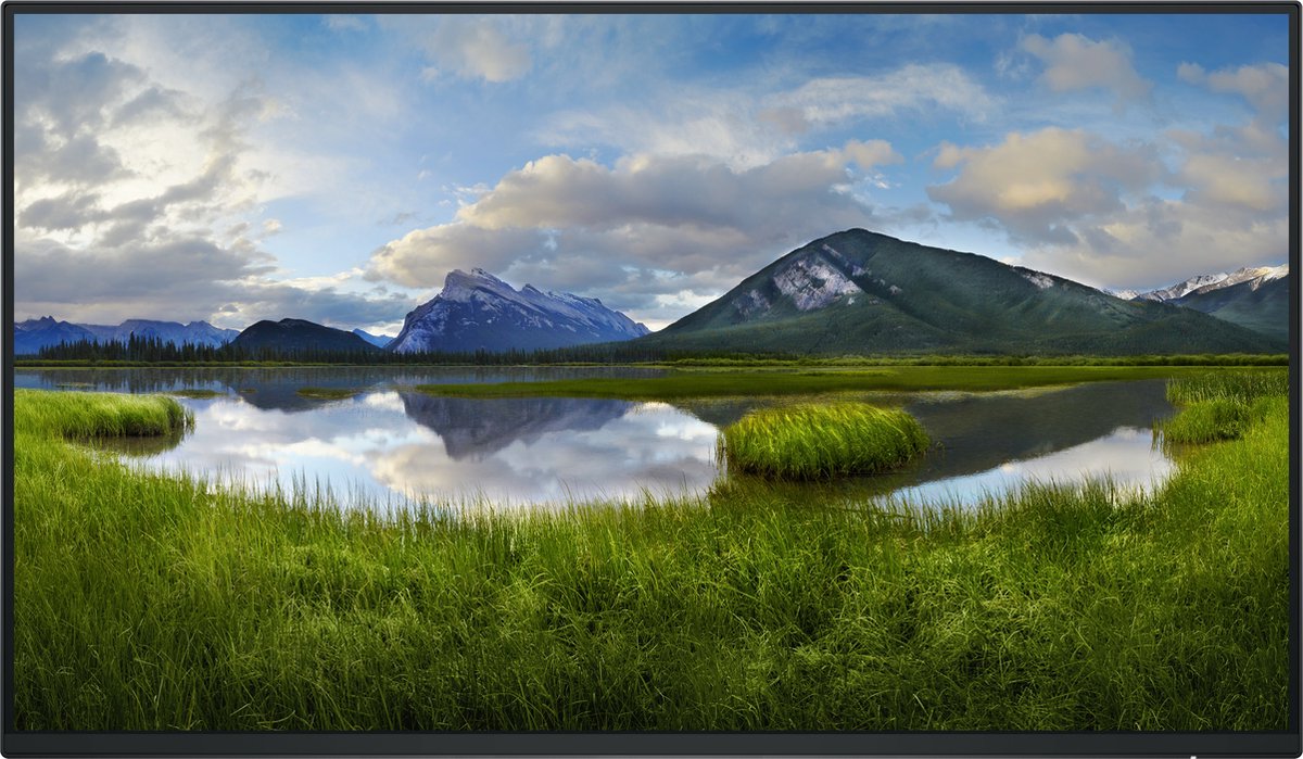 24" Dell P2425HE - 1920x1080 (FHD) - 100Hz - IPS - 90W USB-C