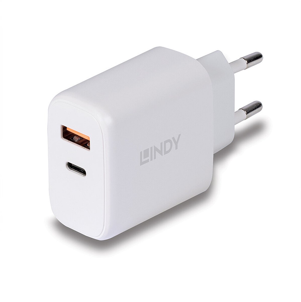Lindy power adapter - 4 pin USB Type A / 24 pin USB-C - 30 Watt