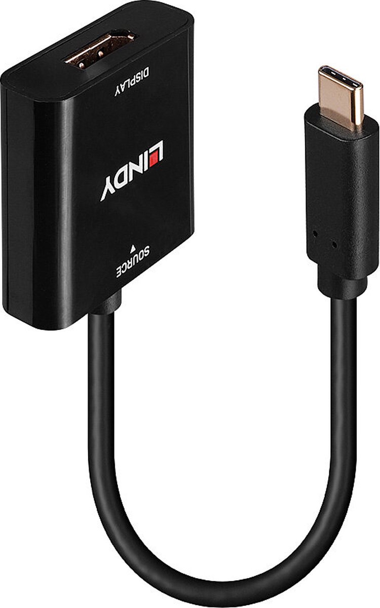 Lindy - video adapter - 24 pin USB-C to DisplayPort - 21 cm