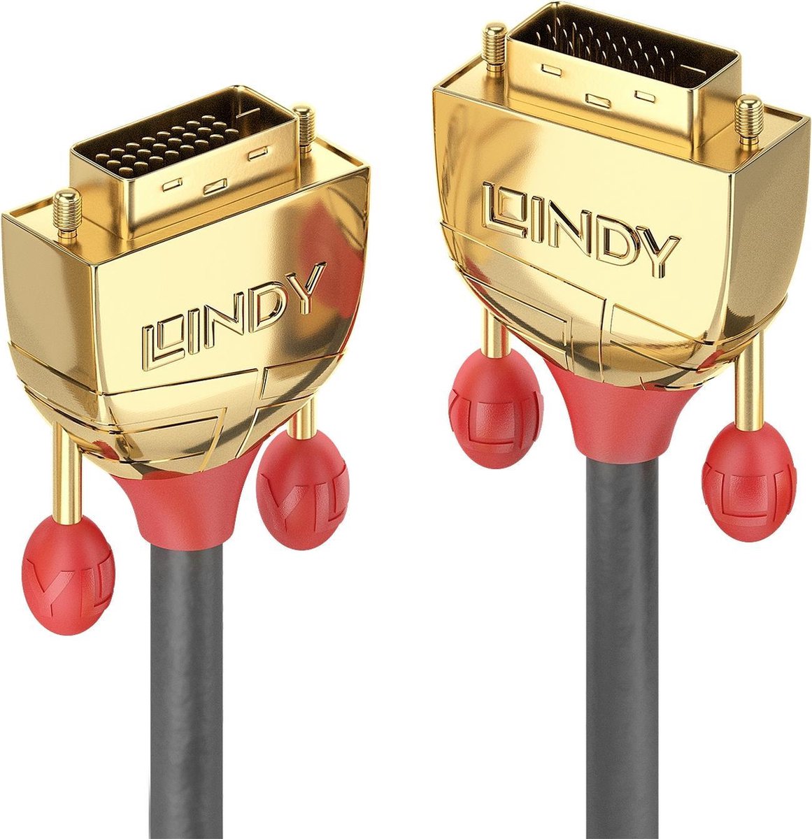Lindy Gold - DVI cable - DVI-D to DVI-D - 50 cm
