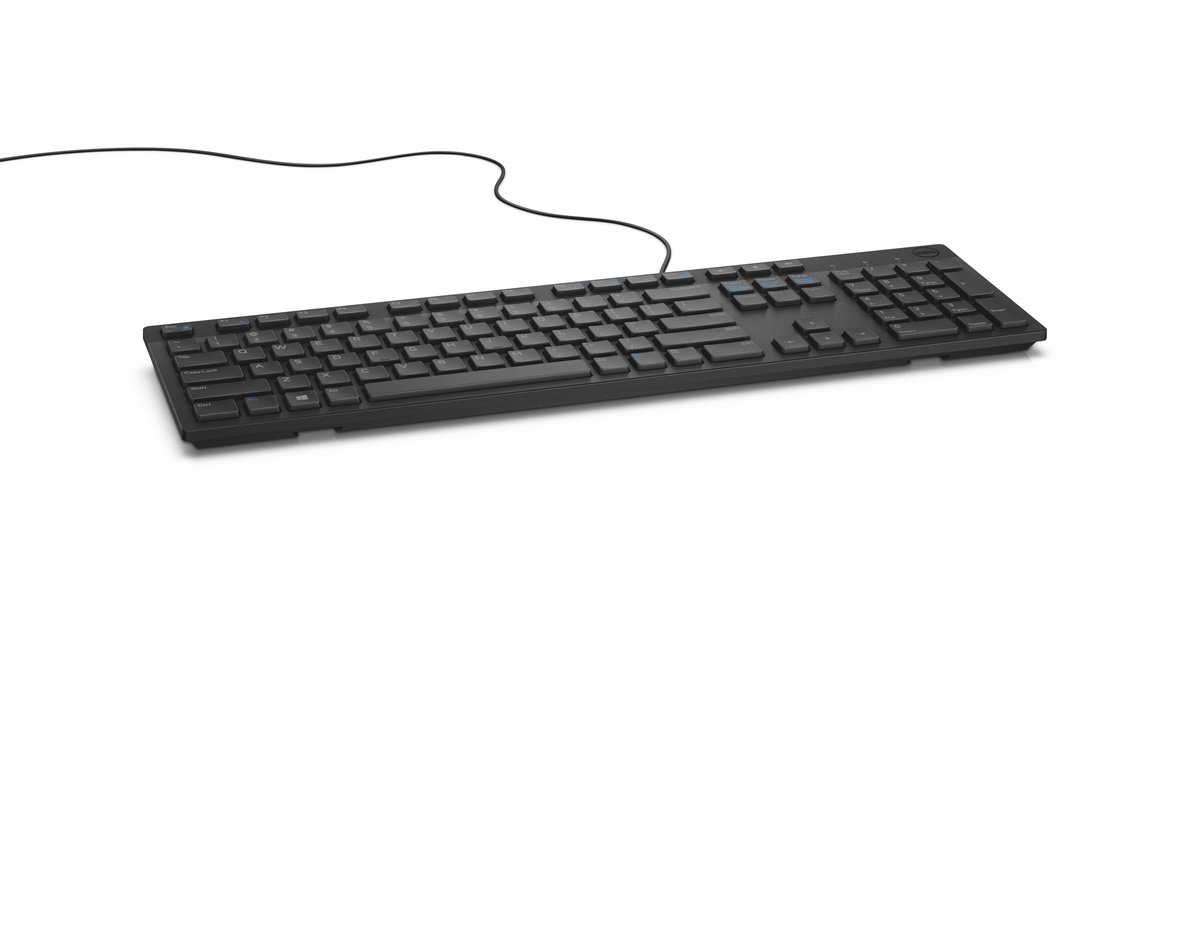 Dell KB216 - keyboard - AZERTY - French - black - Tastatur - Fransk - Sort