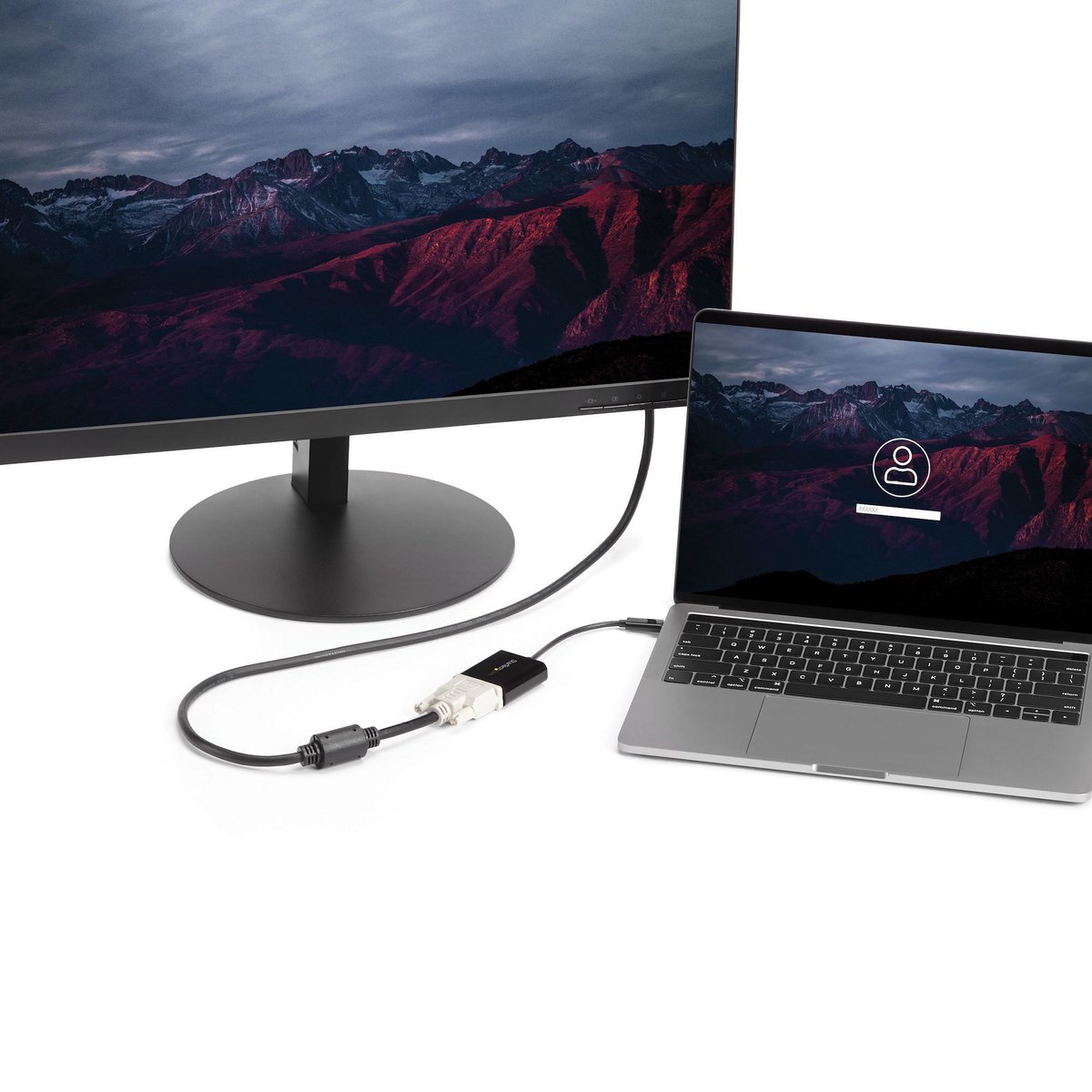 StarTech.com USB C to DVI Adapter ekstern videoadapter