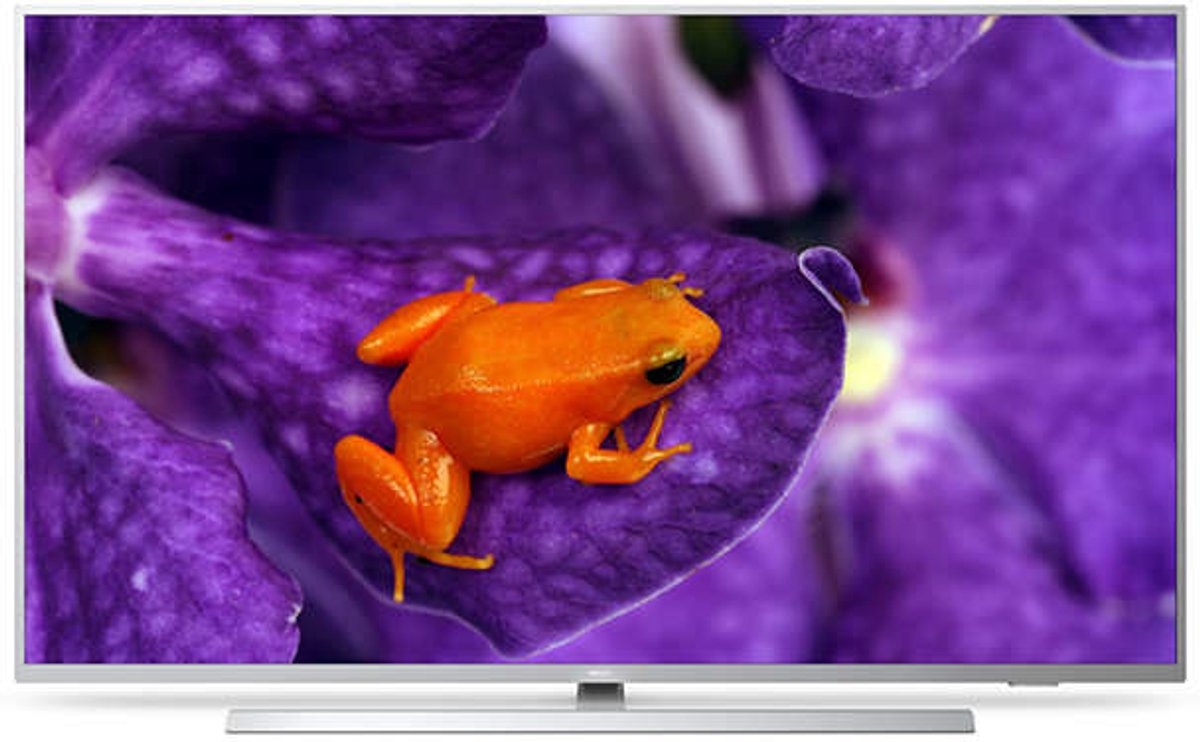 Philips 50HFL6114U Professional MediaSuite - 50" LED TV - 4K