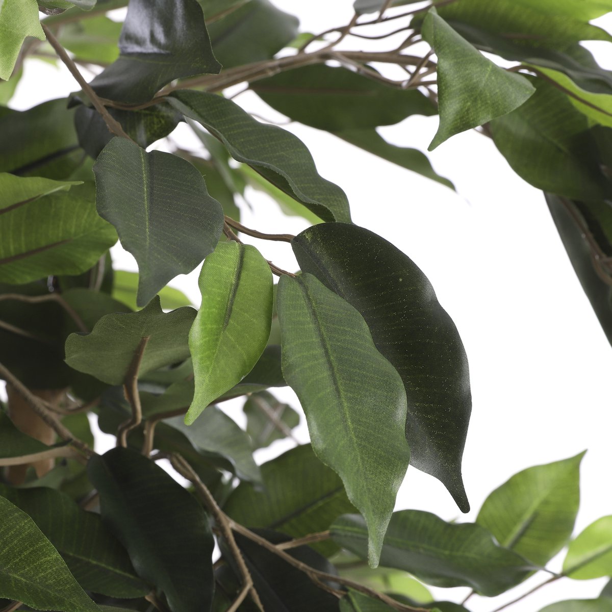 Planta artificial Ficus benjamina (Altura: 210 cm, Verde, Plástico)