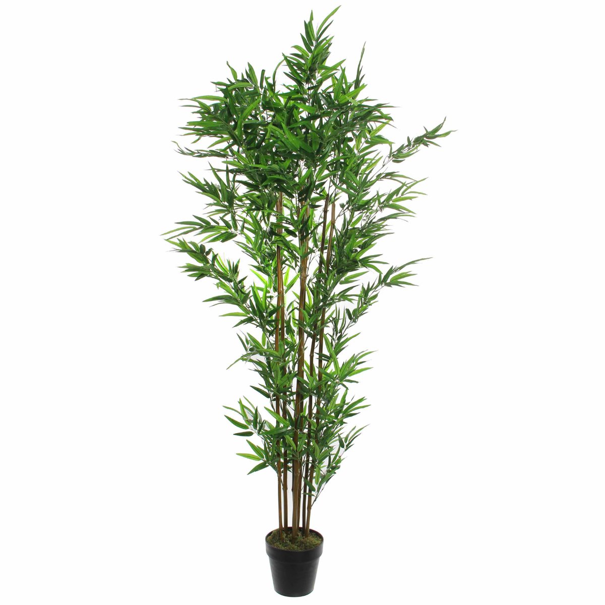 Planta artificial Bambú verde (Ø x Al: 60 x 180 cm, Verde, Plástico)