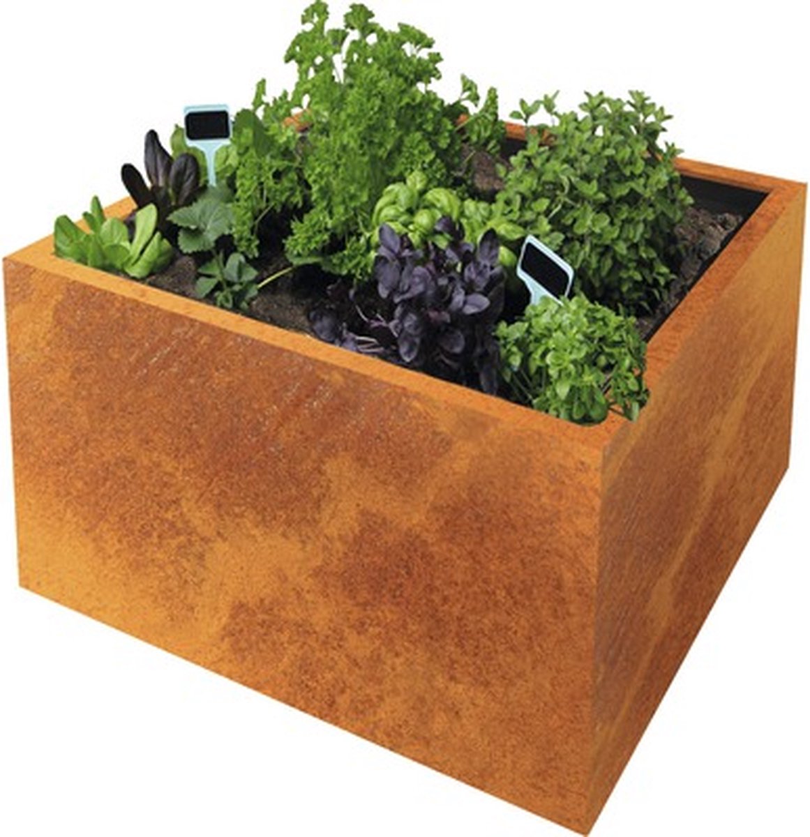 Exclusive Line Macetero para plantas Lotte (60 x 60 x 50 cm, Acero Corten, Rojo-pardo)