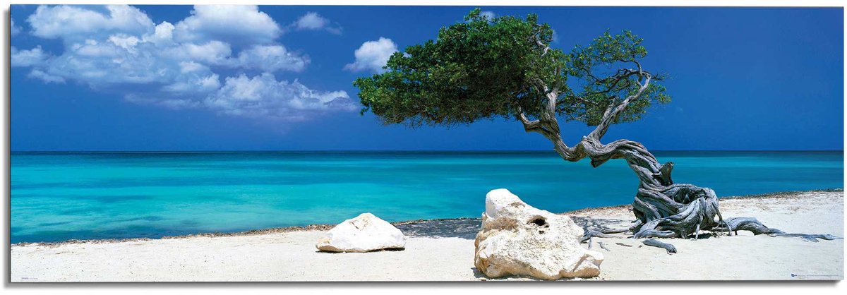 Decopanel (Divi Divi Tree, An x Al: 156 x 52 cm)