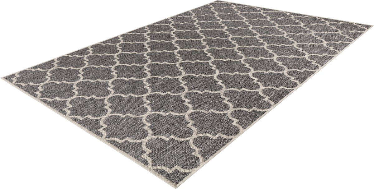 Alfombra exterior Casa (Plateado, 230 x 160 cm, 100% polipropileno)