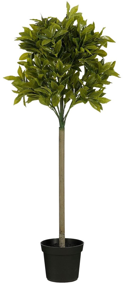 Planta artificial Laurel (Altura: 120 cm, Color de flor: Verde, Plástico)