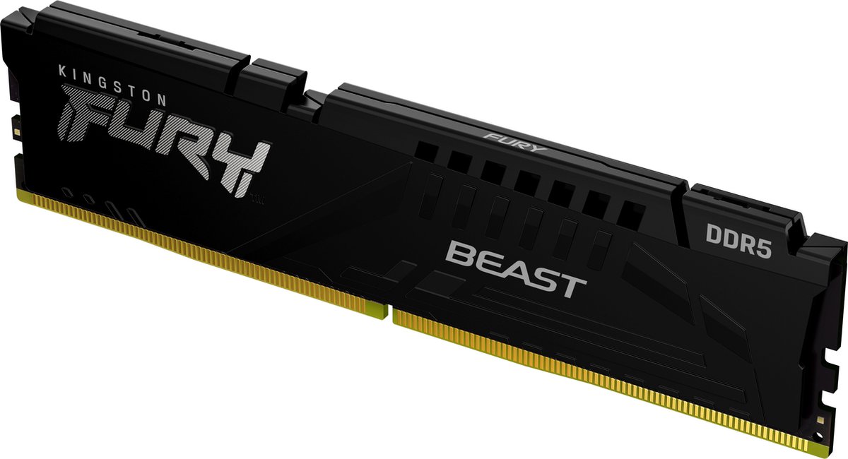 Kingston FURY Beast Schwarz 16GB DDR5-6000 EXPO CL30 DIMM Arbeitsspeicher