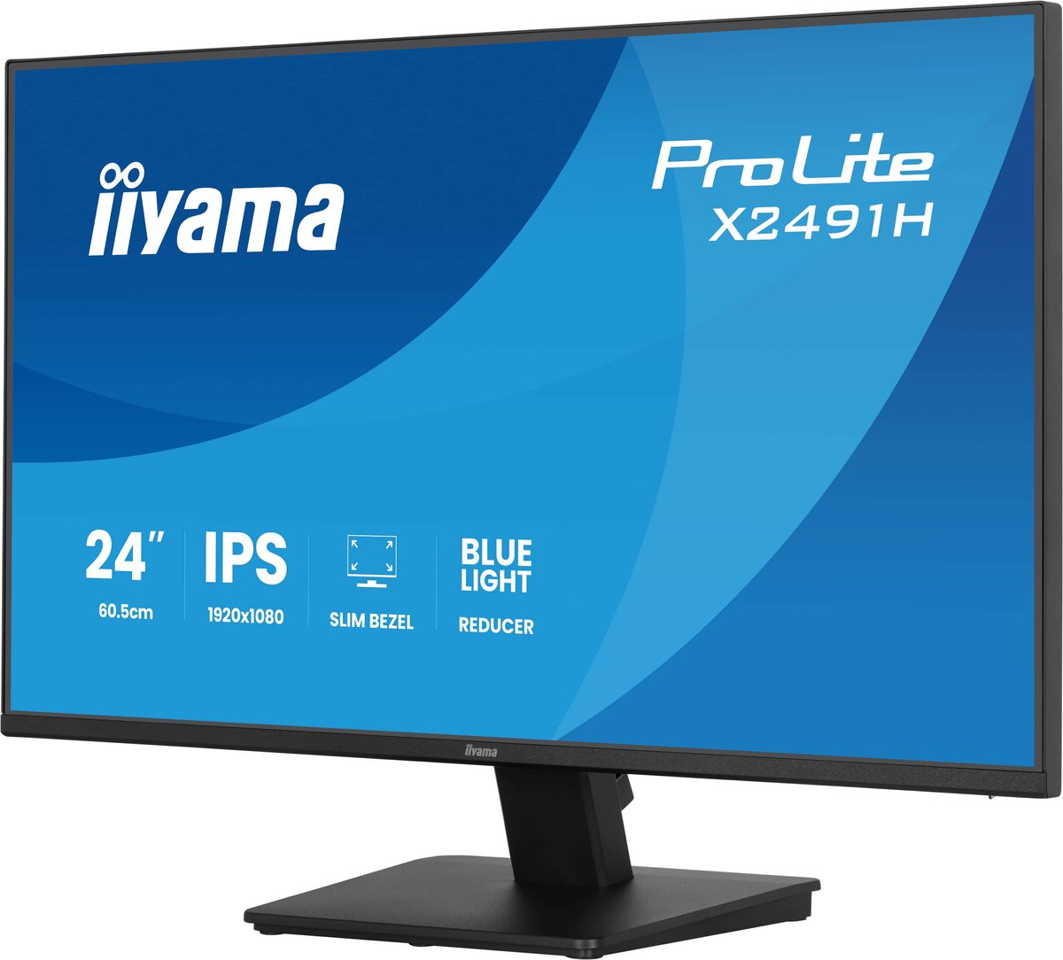 24" iiyama ProLite X2491H-B1 - LED monitor - Full HD (1080p) - 24"