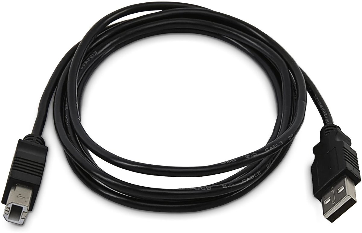 StarTech.com - USB cable - USB to USB Type B - TAA Compliant