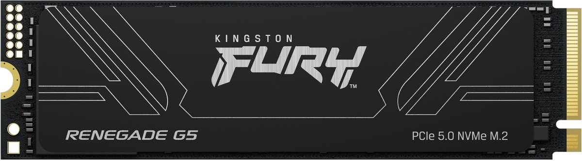 Kingston FURY Renegade G5 SSD 8TB M.2 2280 PCIe Gen5 Internes Solid-State-Module