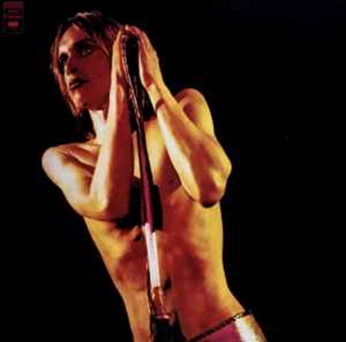 Raw Power [Vinyl LP]