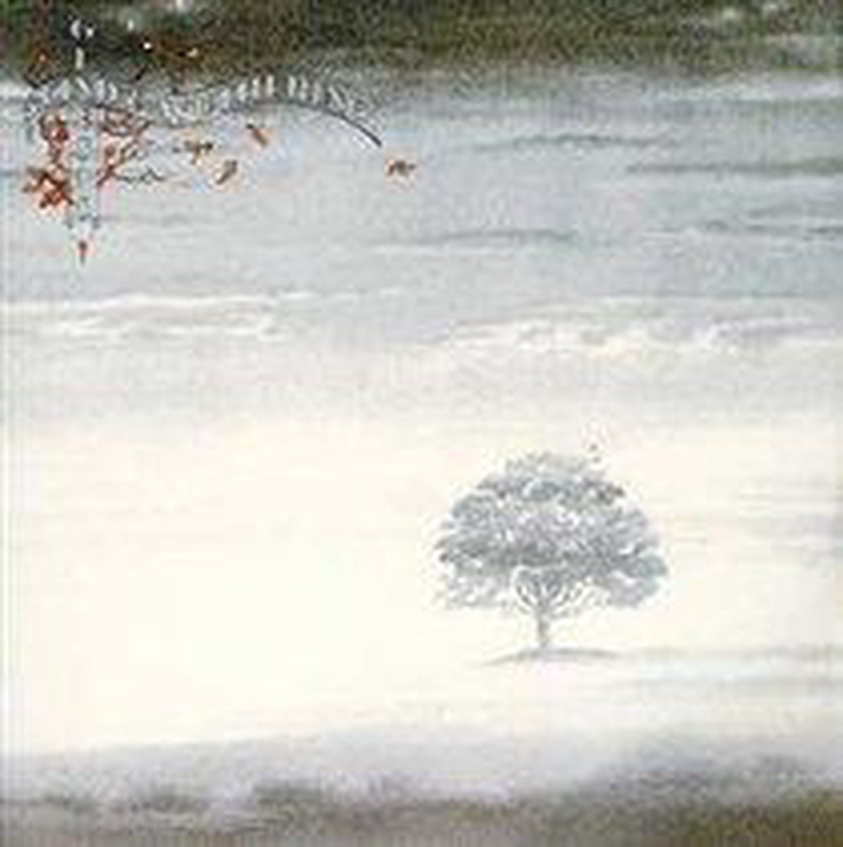Wind and Wuthering-Mini Vinyl