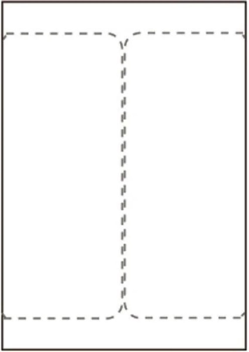 Capture SHIPLABEL105X220-I2P printer label White