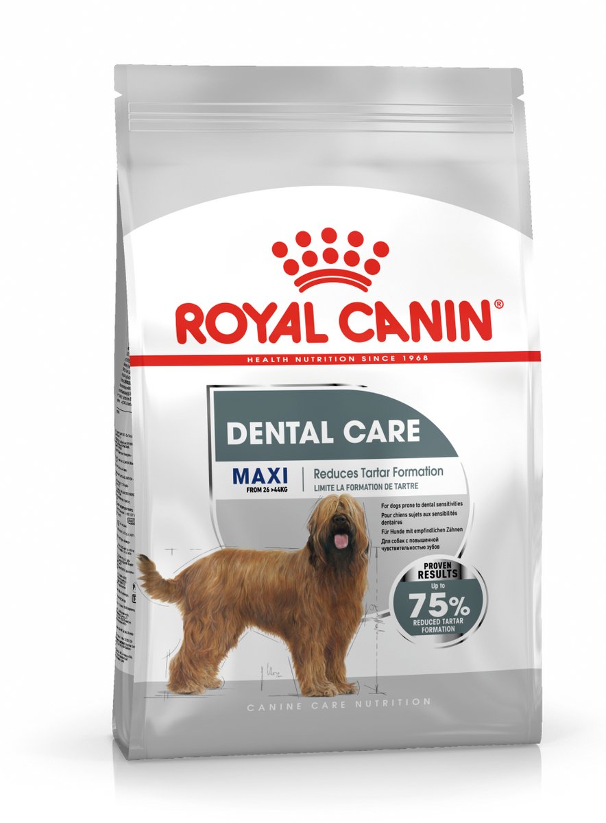 Royal Canin CCN Dental Care Maxi - 2 x 9 kg - Pack Ahorro