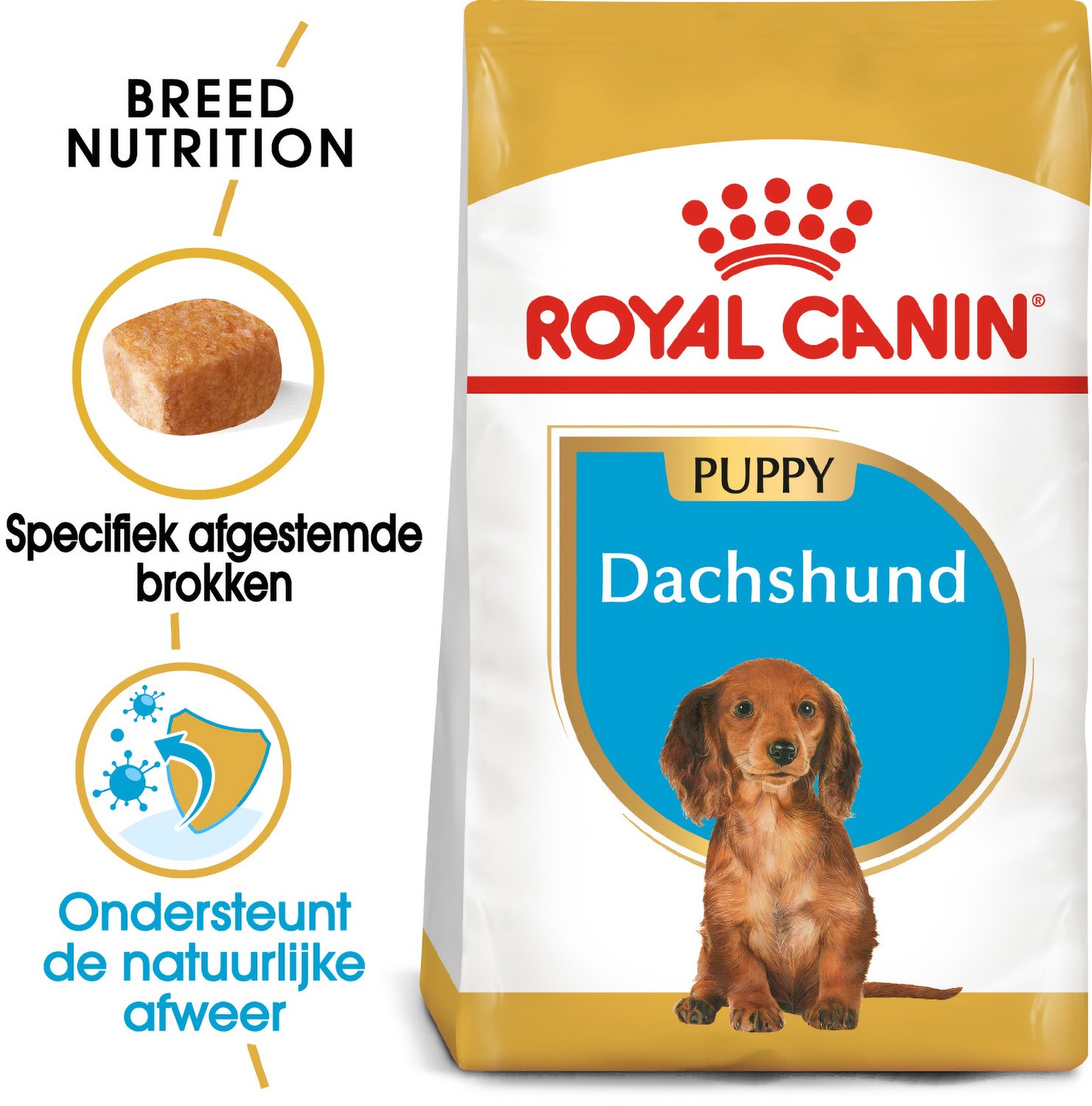 Royal Canin Dachshund Puppy - 3 x 1,5 kg - Pack Ahorro