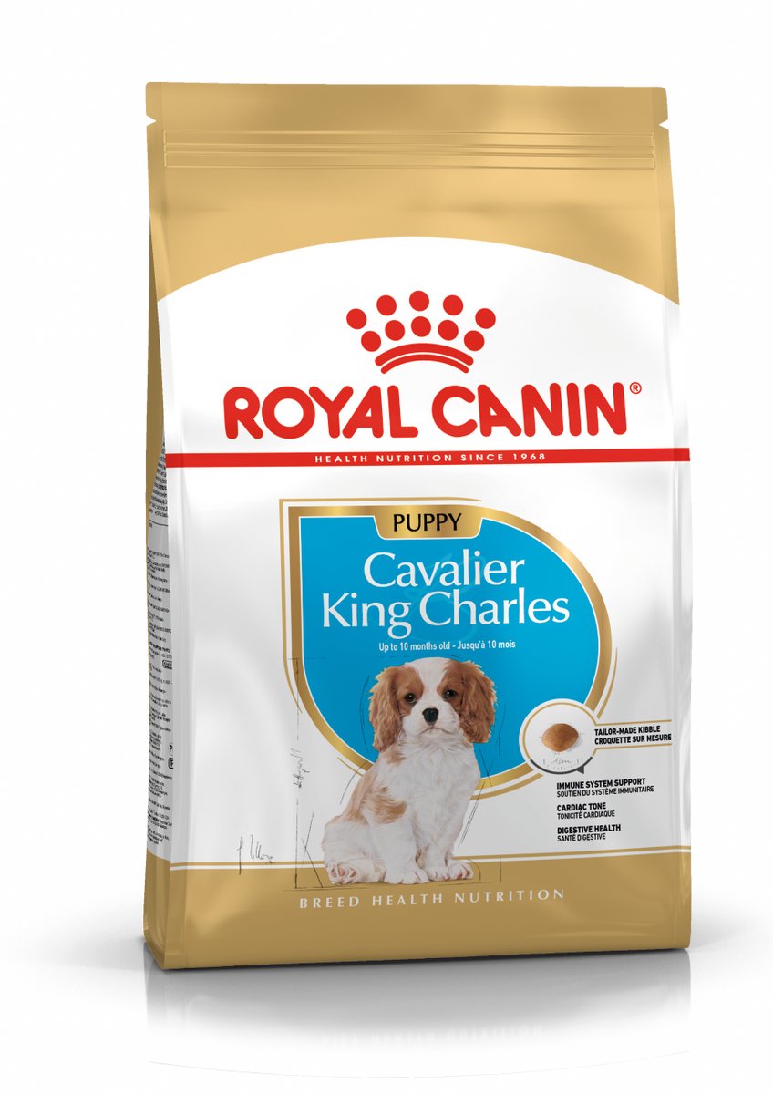 Royal Canin Cavalier King Charles Puppy - 3 x 1,5 kg - Pack Ahorro