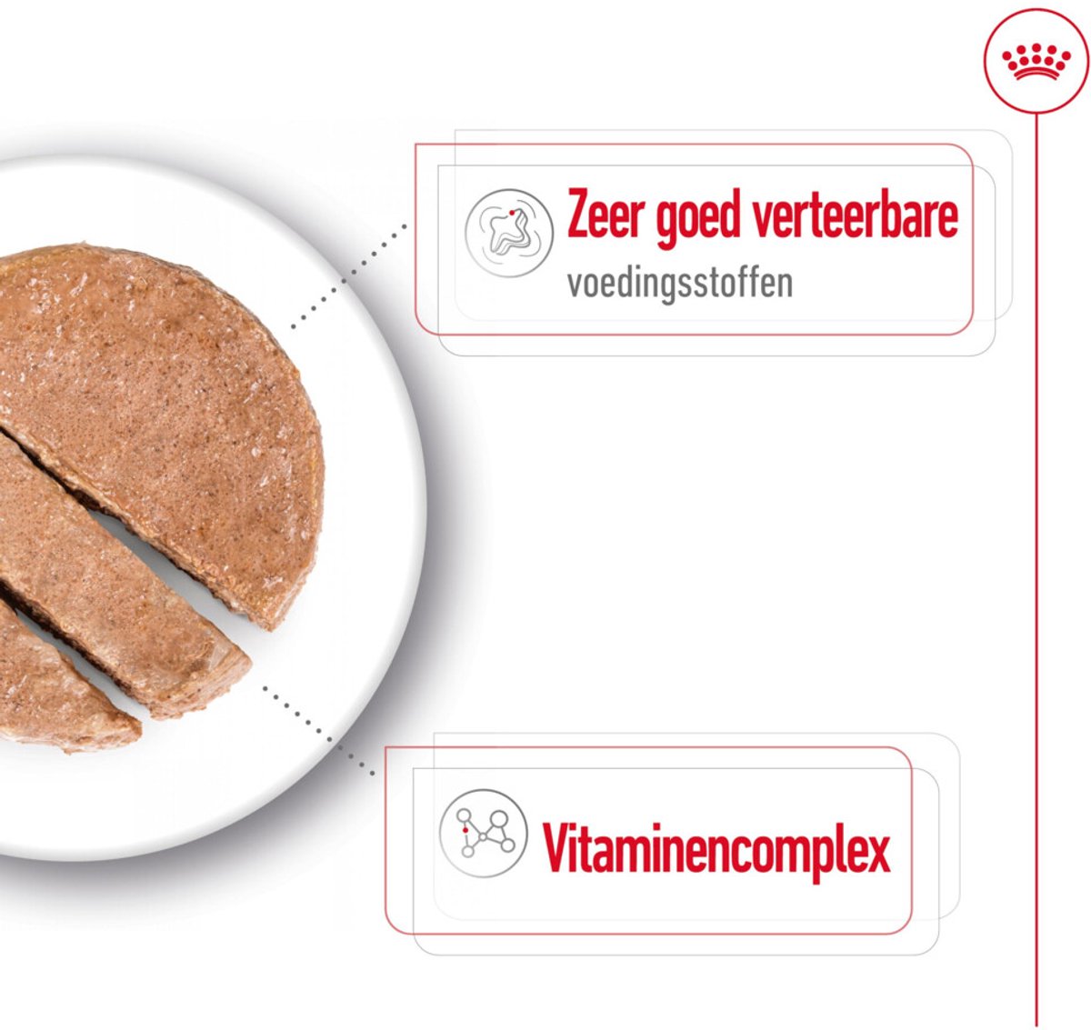 Royal Canin Mini Adult Mousse - 24 x 195 g - Pack Ahorro