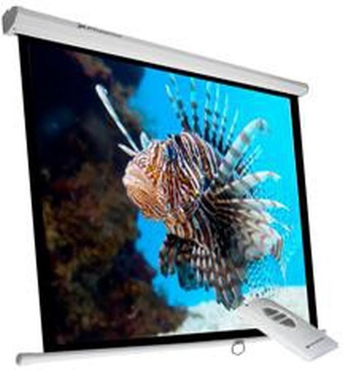 Pantalla de proyección Phoenix Technologies PHPANTALLA-ELEC240 | 3,43 m (135") | 1:1
