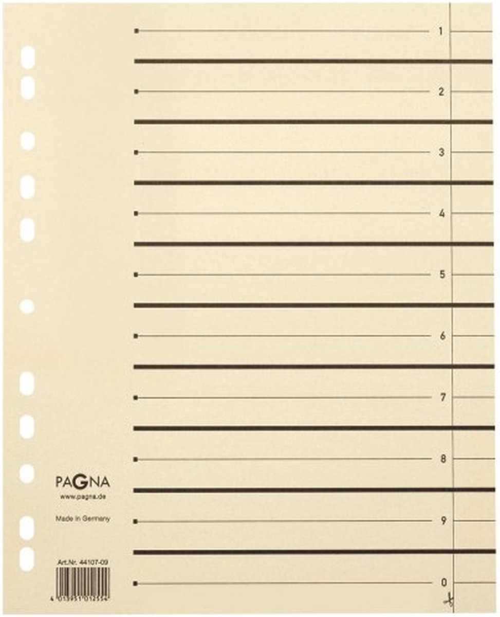 15 x Pagna Trennblätter A4 230g/qm chamois VE=10 Stück