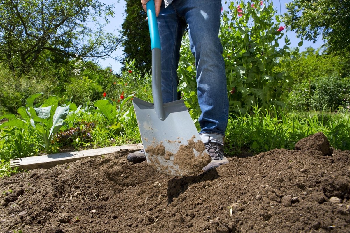 Gardena ClassicLine Spade