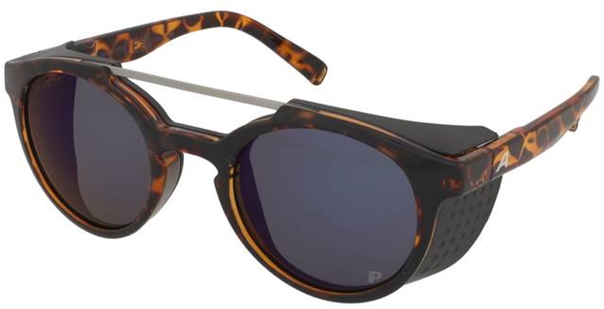 Lunettes de soleil Alpina Glace P