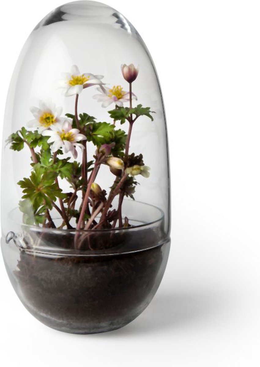 Design House Stockholm Serra Grow Medio