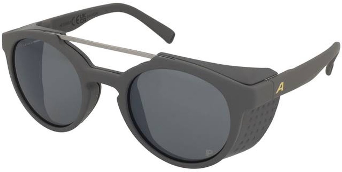 Lunettes de soleil Alpina Glace P