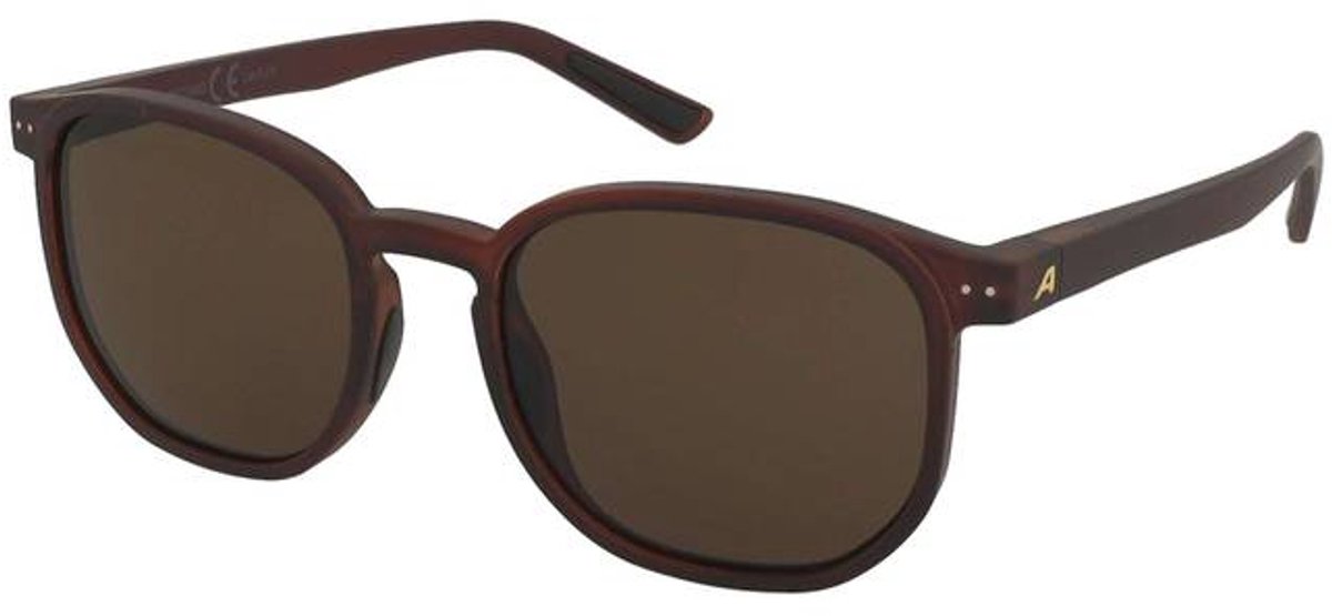 Lunettes de soleil Alpina Dimont