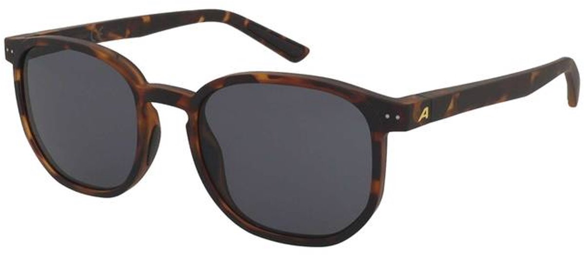 Lunettes de soleil Alpina Dimont