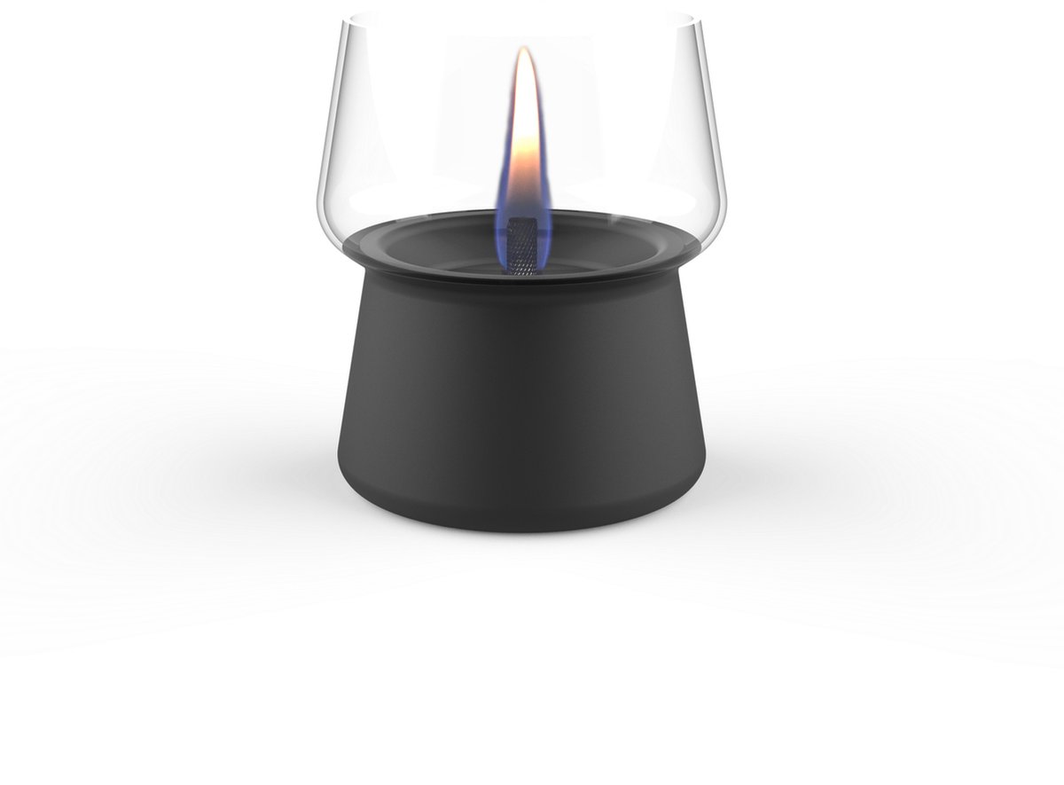 Tenderflame Amaryllis 10 Black