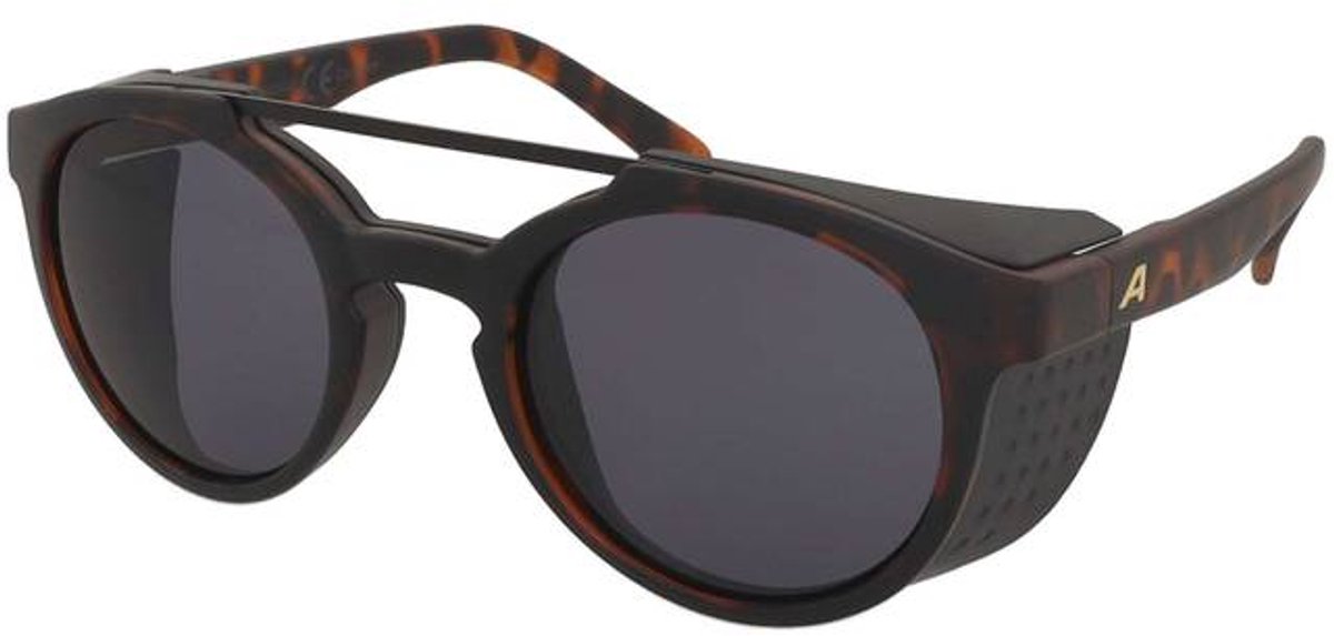Lunettes de soleil Alpina Glace