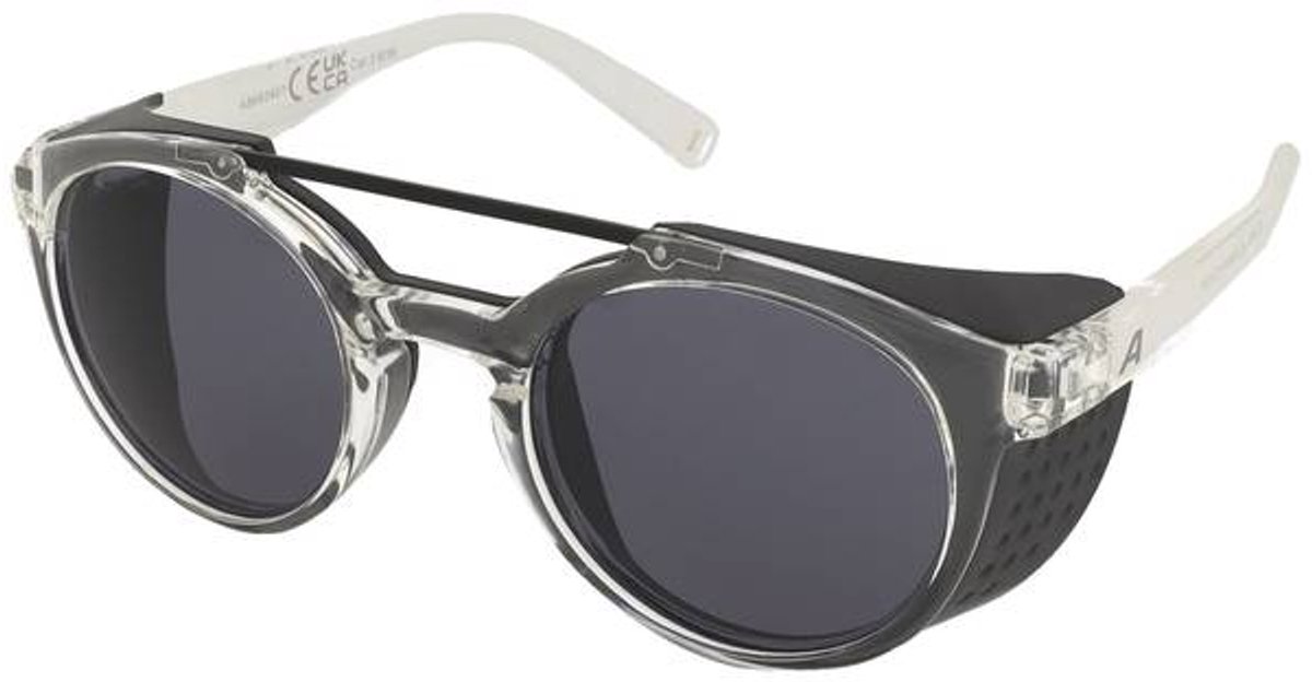 Lunettes de soleil Alpina Glace