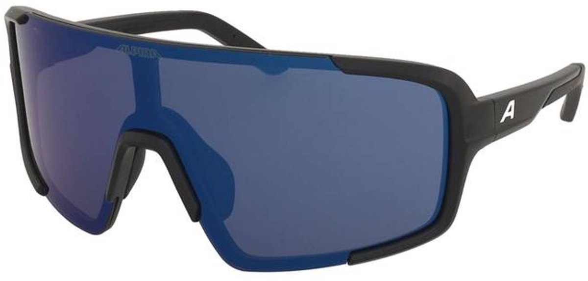 Lunettes de soleil Alpina Lumin